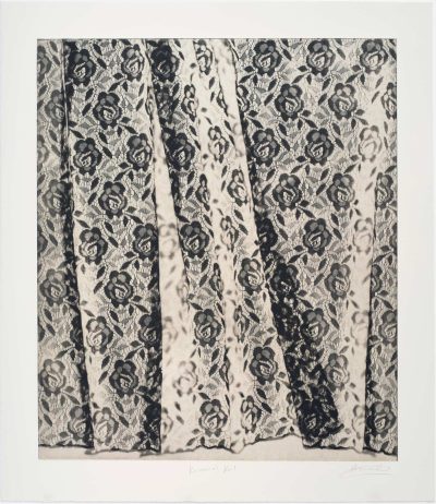 Veronica’s Veil (i)