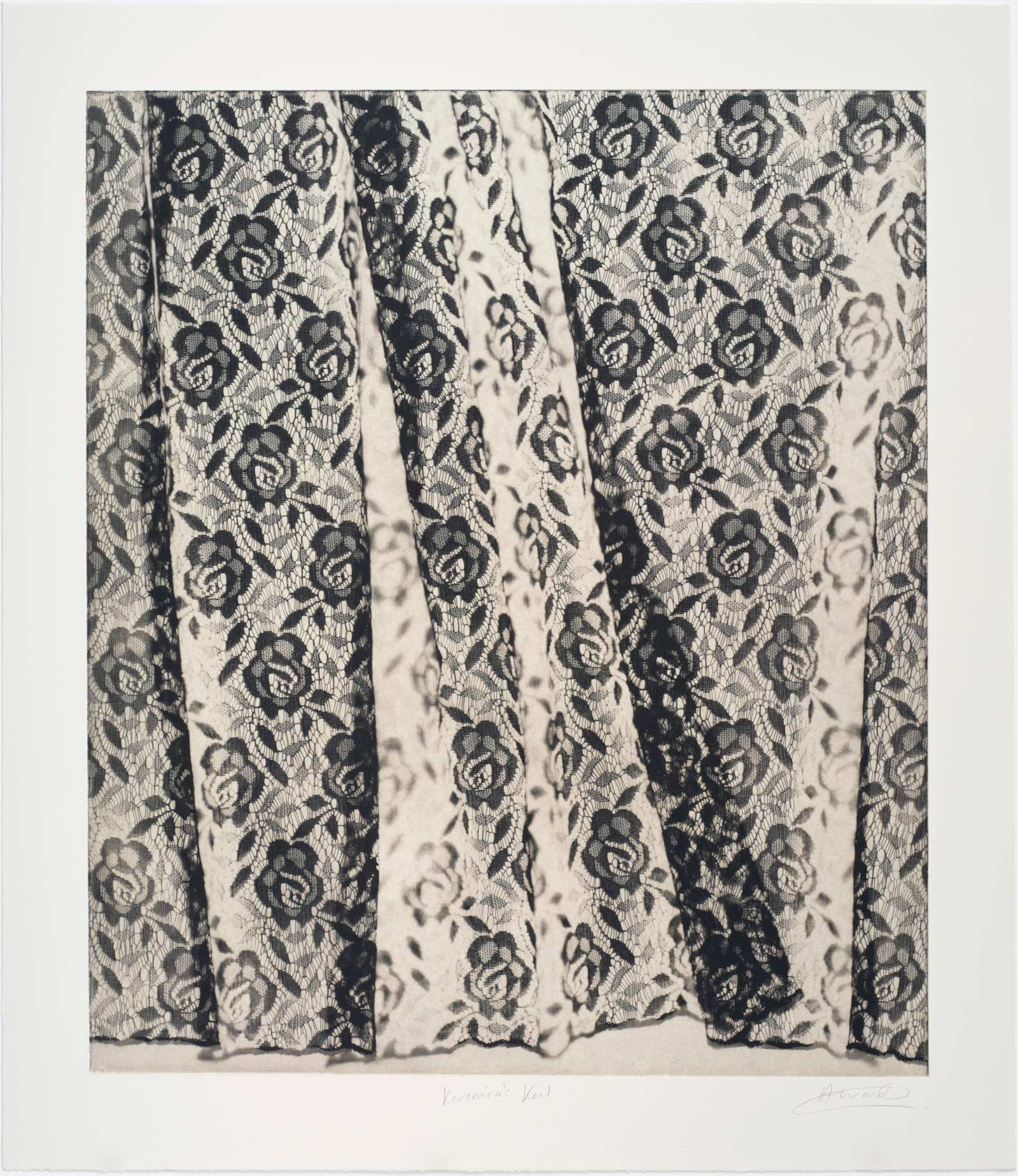 Veronica’s Veil (i)