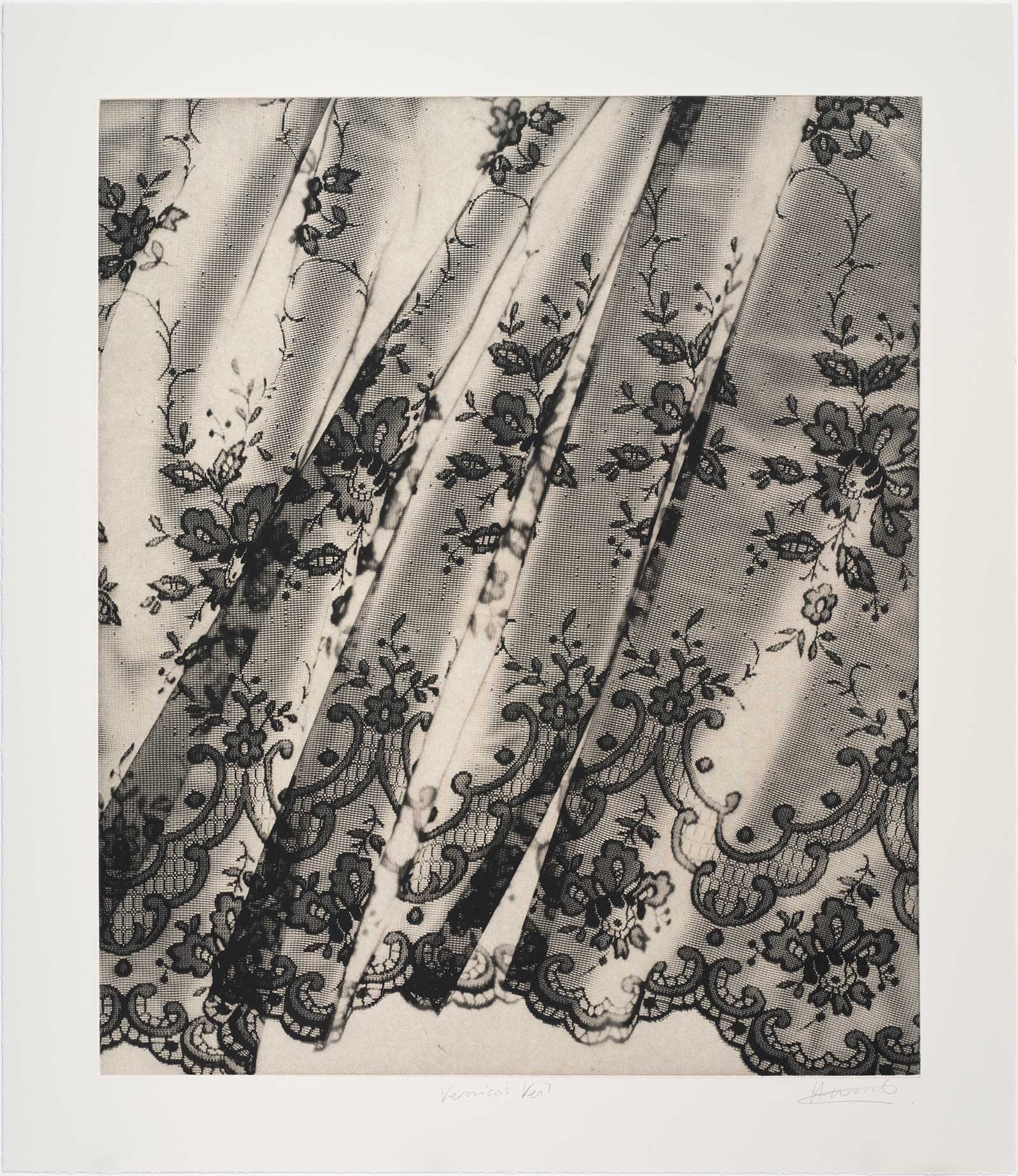 Veronica’s Veil (ii)