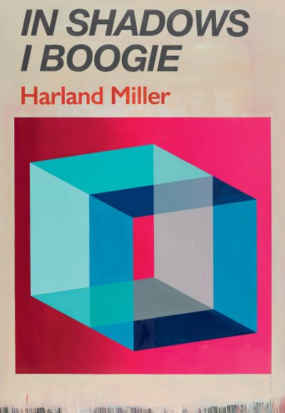 In Shadows I Boogie (Pink Box Print)